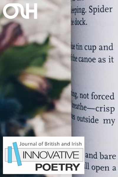 Journal of British and Irish Innovative Poetry cover