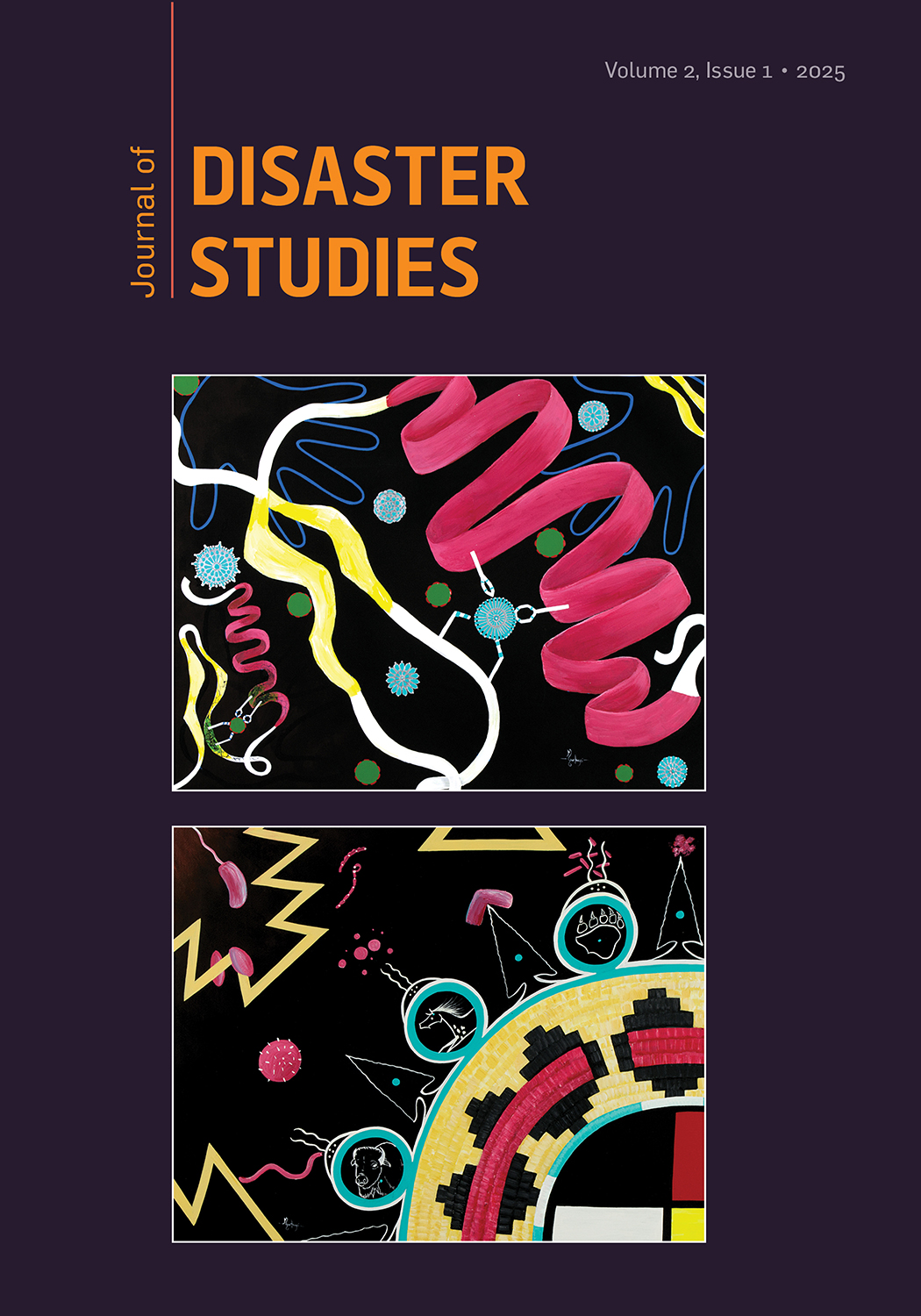 Journal of Disaster Studies cover